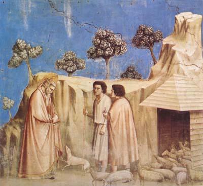 GIOTTO di Bondone Joachim Takes Refuge in the Wilderness (mk08) china oil painting image